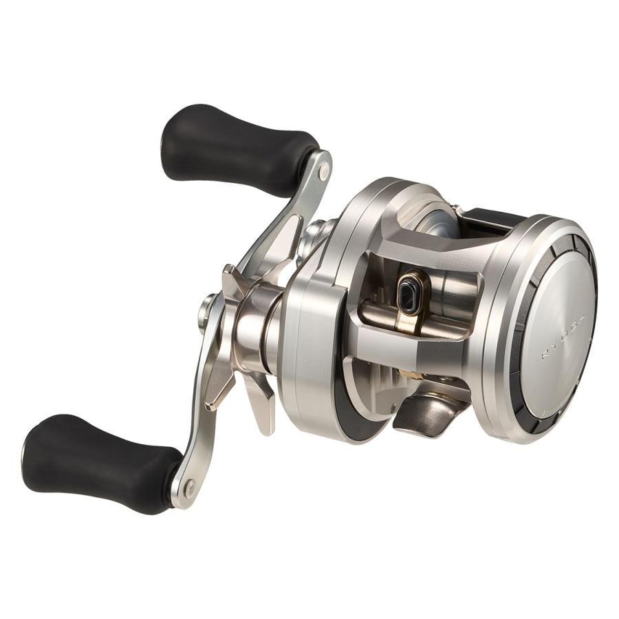 DAIWA（ダイワ） スティーズ RC C67M-SV・ST バスロッド ベイト