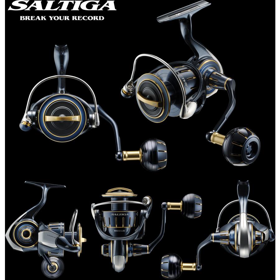 DAIWA（ダイワ） 23ソルティガ4000-H ショア キャスティング SLJ