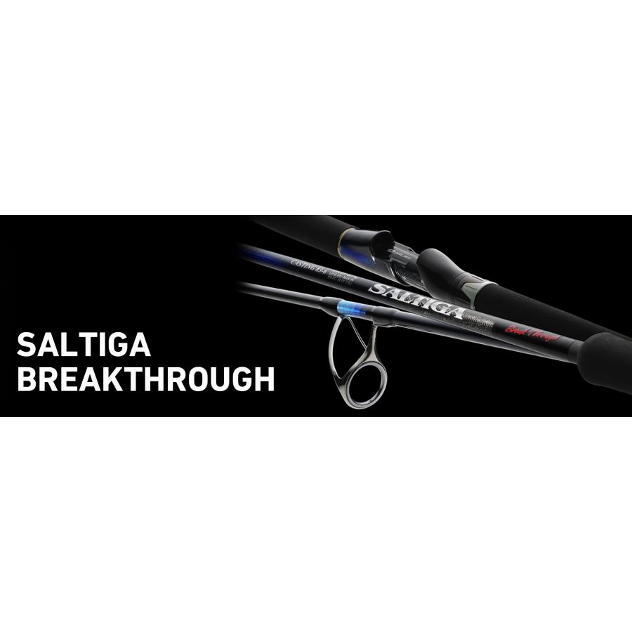 ダイワ ソルティガブレイクスルー C710-8 DAIWA（ダイワ） ソルティガ ブレイクスルー C710−8 SALTIGA