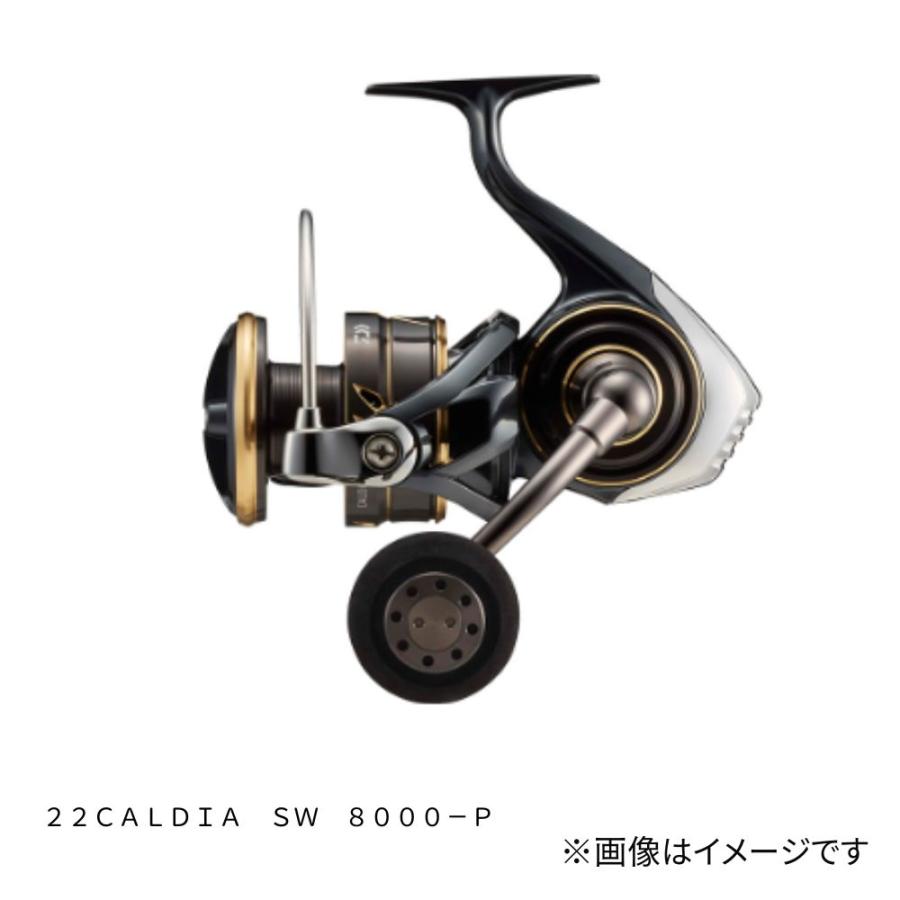 DAIWA（ダイワ） 22 カルディア SW 8000-P スピニングリール DAIWA