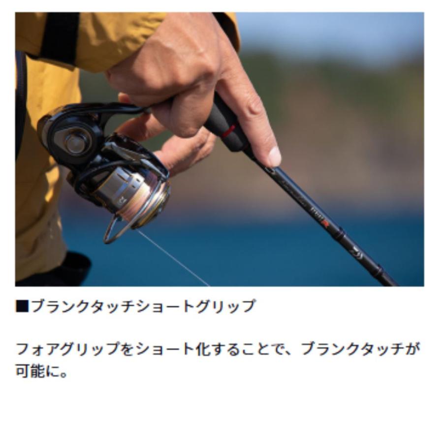 DAIWA（ダイワ） エメラルダス STOIST RT IL 84MLM エギングロッド