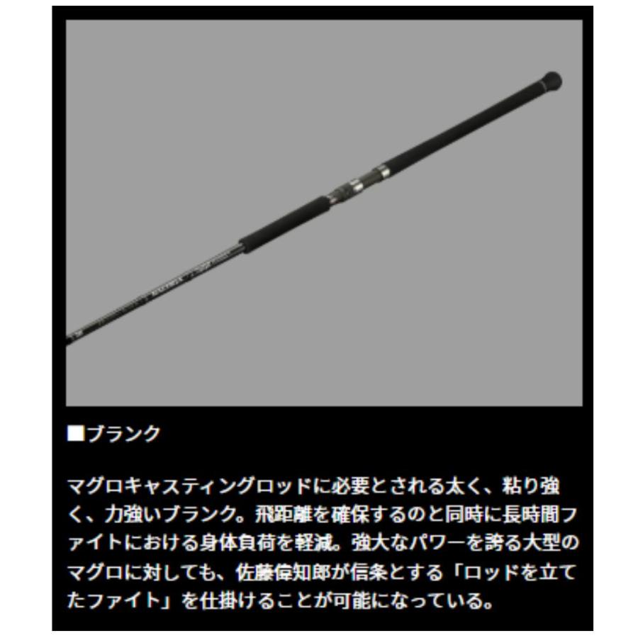 DAIWA（ダイワ） 25 ソルティガ C DOGFIGHT 76-10 オフショア