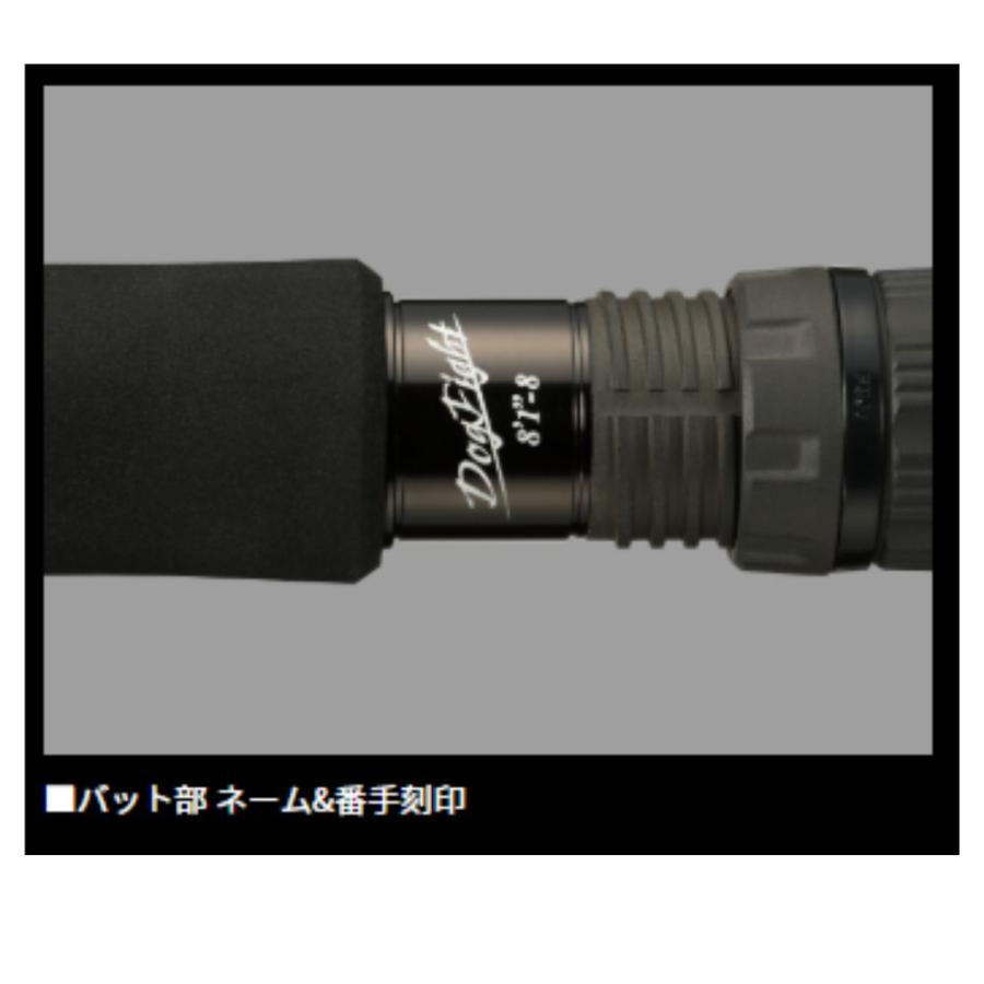 DAIWA（ダイワ） 25 ソルティガ C DOGFIGHT 76-10 オフショア