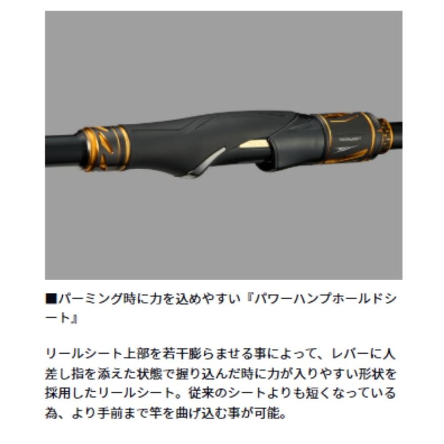 DAIWA（ダイワ） トーナメント磯 AGS M-53T 24年 磯竿 釣り竿 フカセ