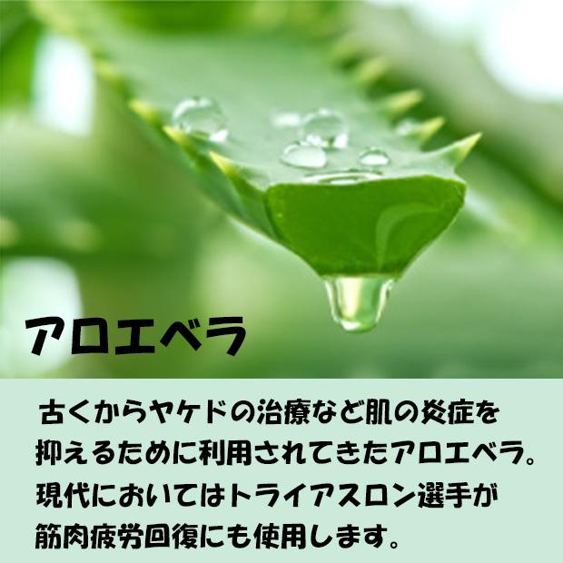 ブリサマリーナ アスリートプロEX UVスティック ホワイト SPF50+