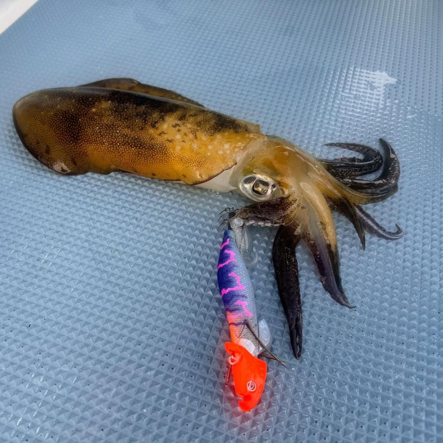 クレイジーオーシャン ティップランナー 3.5号 エギ 船 餌木 ルアー