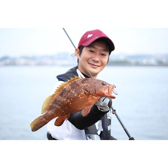 アルカジックジャパン インスピレーション S88H the” Rock Shore Spin