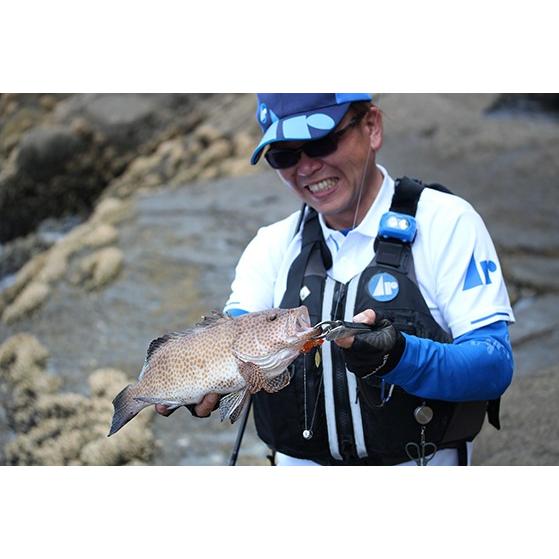 アルカジックジャパン インスピレーション C88XH the” Rock Shore