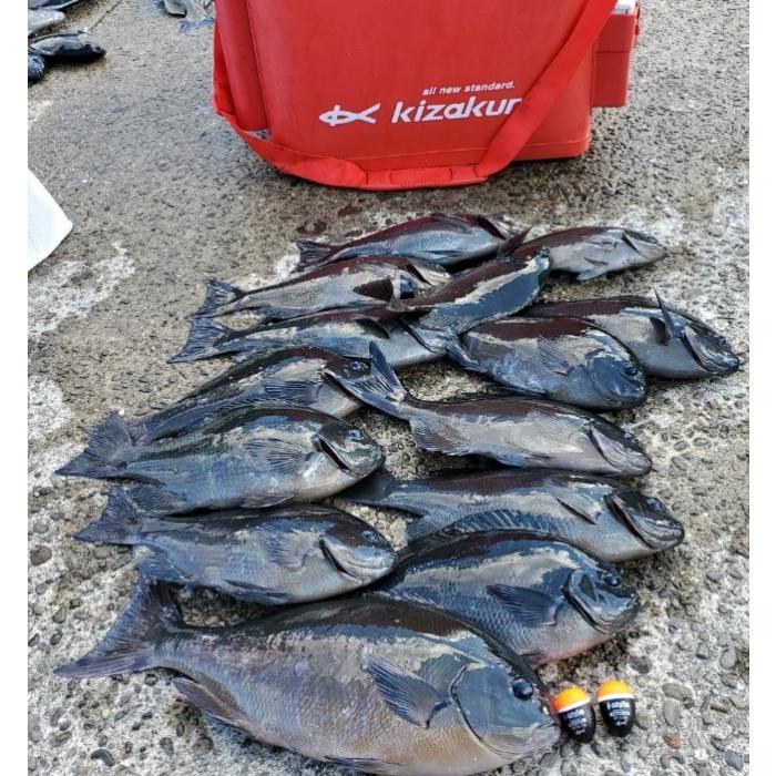 kizakura（キザクラ） パーフェクトガン玉＆ケースセット グレ チヌ