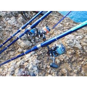 DAIWA（釣り） ダイワ クロスキャスト 6000 遠投 カゴ 磯 サーフ