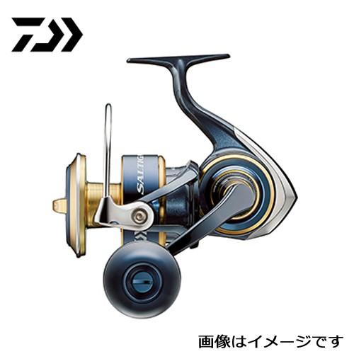 DAIWA（ダイワ） 20 ソルティガ 14000-P 青物、マグロ狙いのジギング