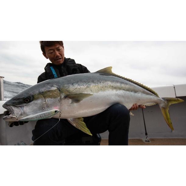 OCEA シマノ オシア 別注平政 190F Aトビウオ フラッシュ