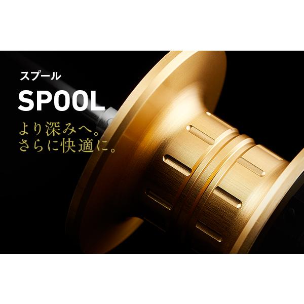 DAIWA(釣り) ダイワ ソルティガ IC 100H-DH タイラバ ライト DAIWA(釣り) ダイワ ソルティガ IC 100H-DH タイラバ ライト