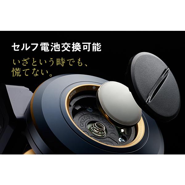 DAIWA(釣り) ダイワ ソルティガ IC 100H-DH タイラバ ライト DAIWA(釣り) ダイワ ソルティガ IC 100H-DH タイラバ ライト