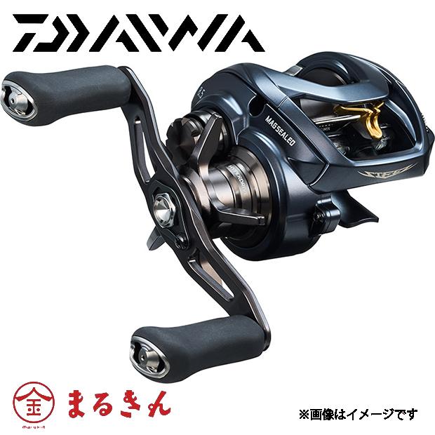 Daiwa AII TW 1000L ベイトリール GARMENT REPRODUCTION OF WORKERS ダイワ スティーズ AII TW 1000