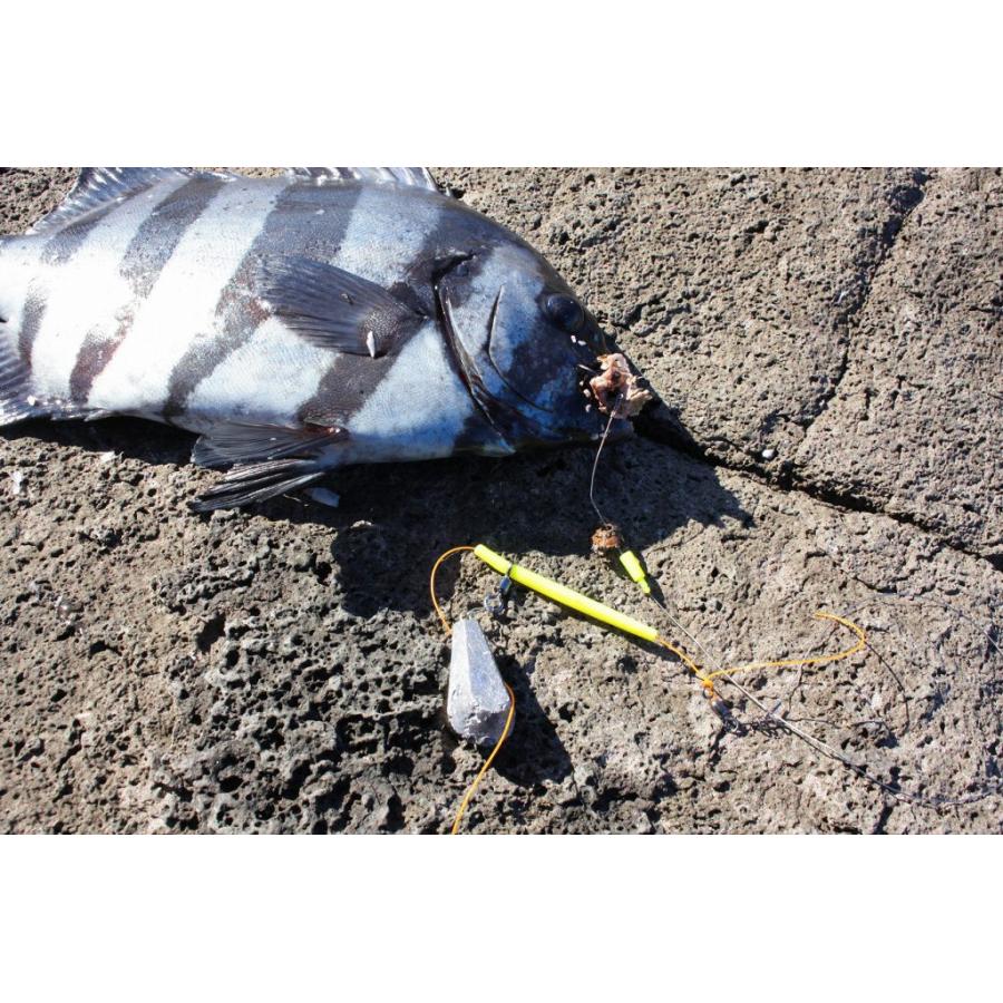 魂の呼び声 10枚 バラ売り可 イングレム Xperia 10 IV / 『ディズニーキャラクター』/耐衝撃