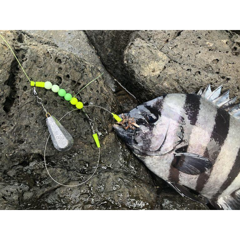 kizakura 石師魂 遠投ゴムテンビンミニ 8個入り キザクラ 石鯛
