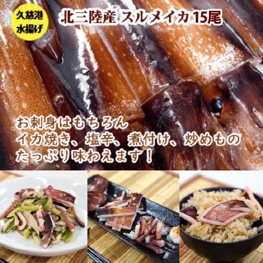 するめいか 丸物１５キロ 送料無料 鮮度超抜群 スルメイカ 冷凍 15尾入り(約4.5kg〜約5.5kg