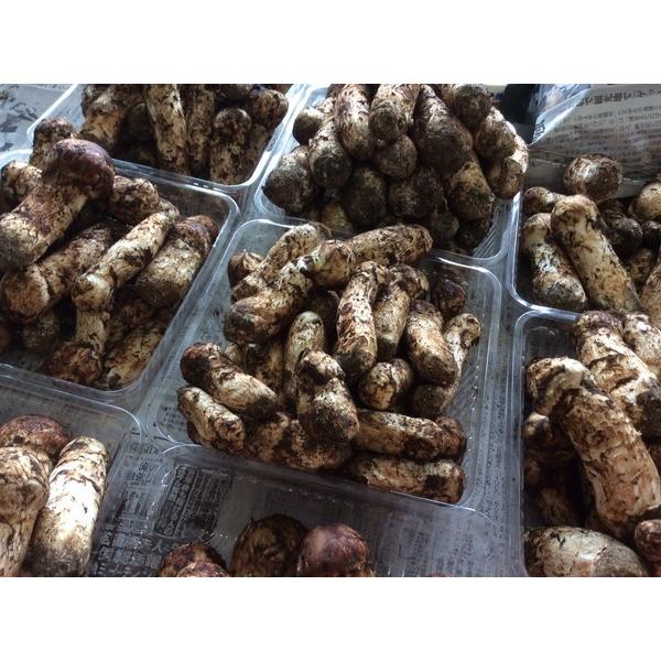 販売終了まで残りあとわずか 松茸 まつたけ 岩手産 国産松茸200g 販売終了まで残りあとわずか 松茸 まつたけ 岩手産 国産松茸200g