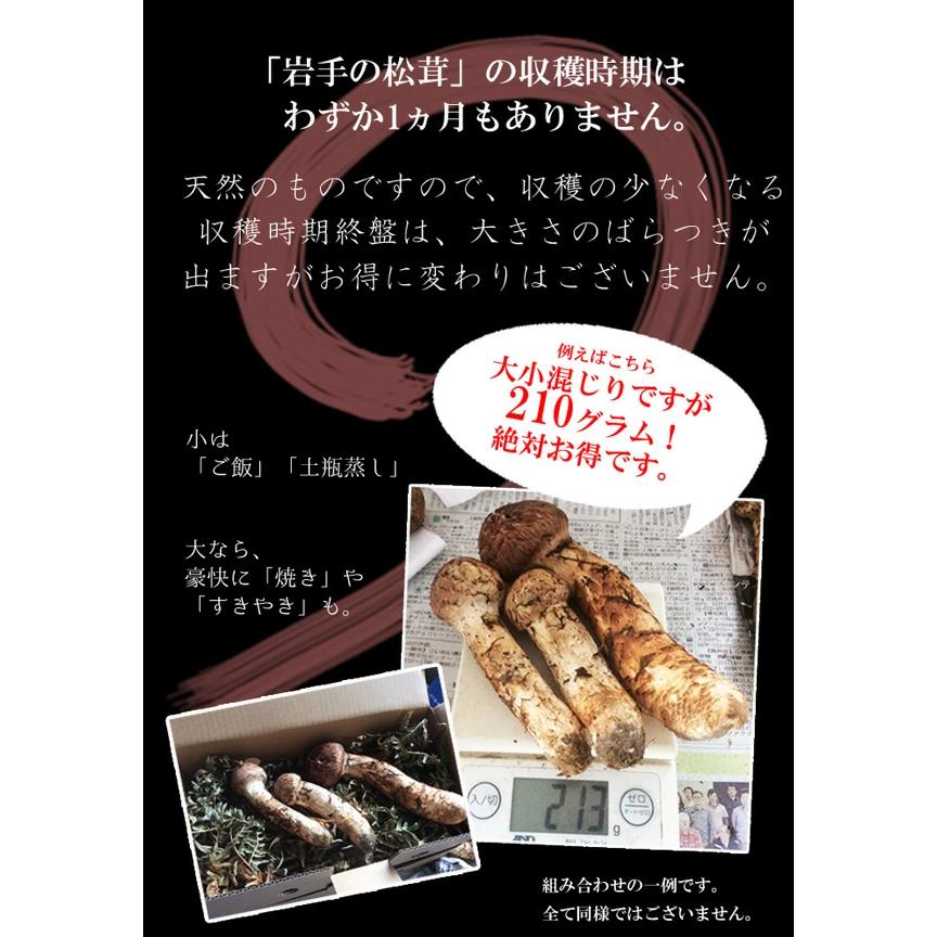 ④【岩手県産天然松茸】　国産本場　つぼみ採れたて　産地直送　148g おすすめ 岩手県産天然松茸 マツタケ