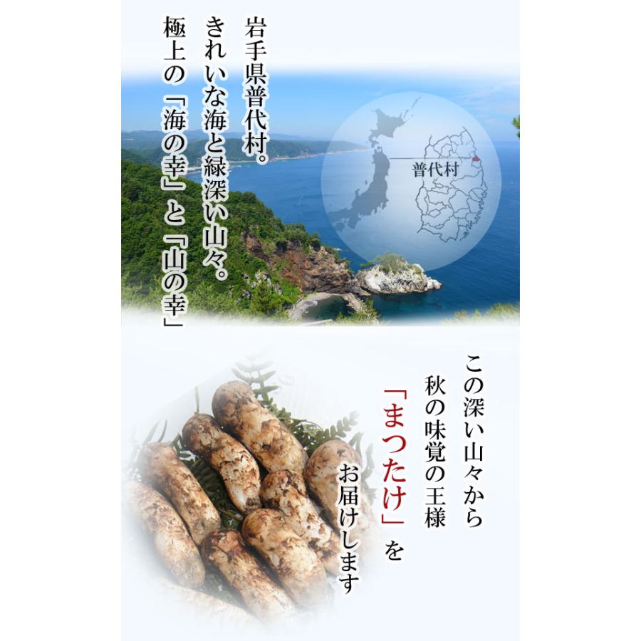 獲れ次第順次発送中 岩手県産 訳あり 松茸300g (開き・欠け・特大・小