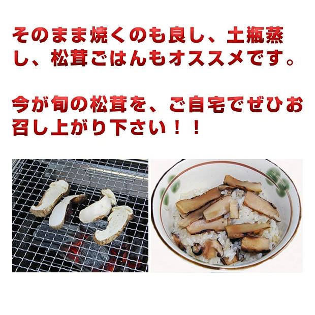 販売終了まで残りわずか 岩手県産 訳あり 松茸300g (開き・欠け
