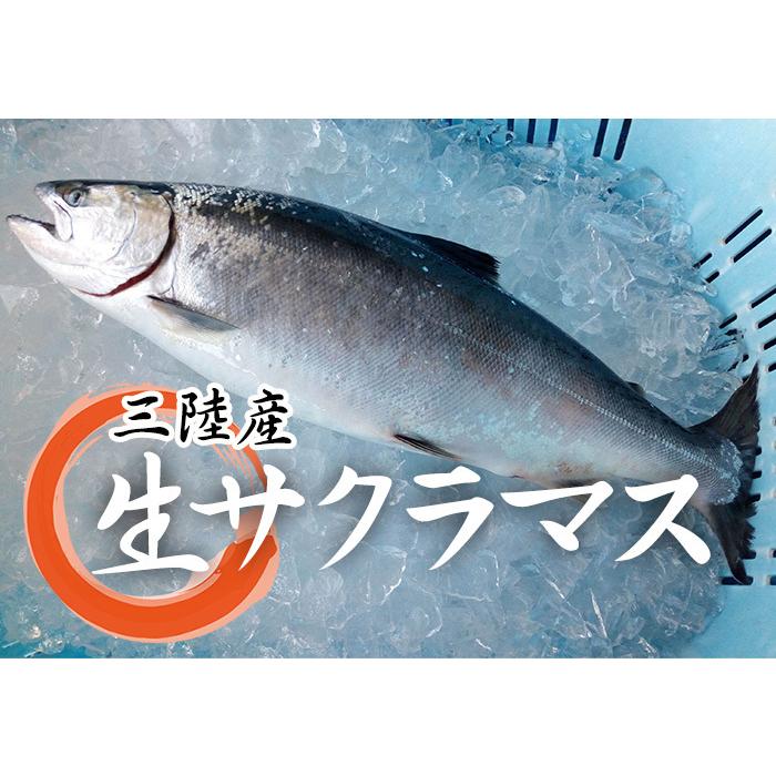 三陸産生サクラマス1尾約2キロ【期日指定不可】※切身も承ります : うまさ直送 マルコシ商店 - 通販 - Yahoo!ショッピング