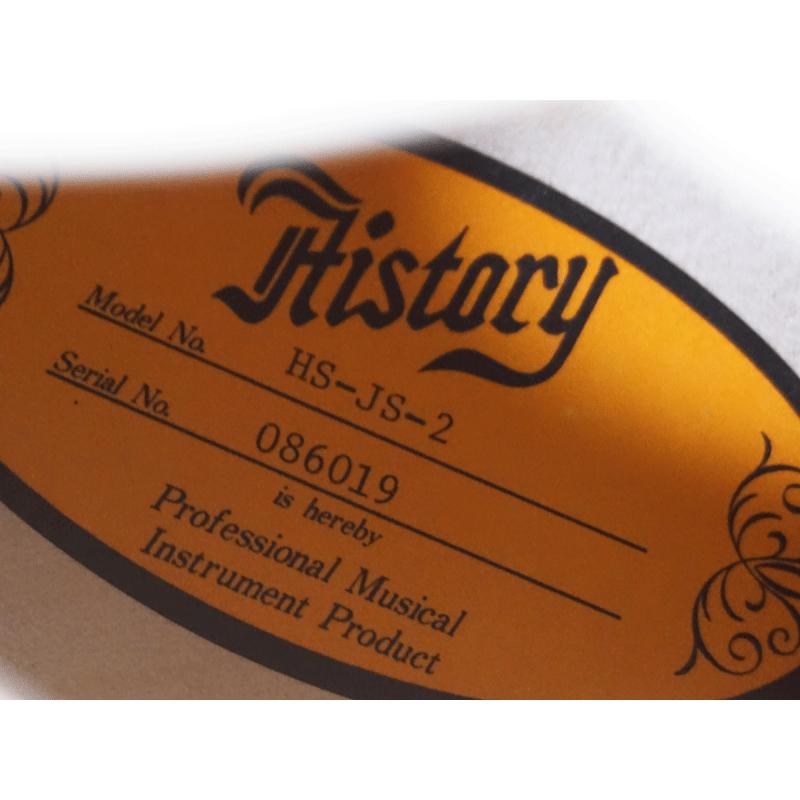 フルアコ　エレキギター ナチュラル 【バインディング】 ハードケース付　送料無料！！
