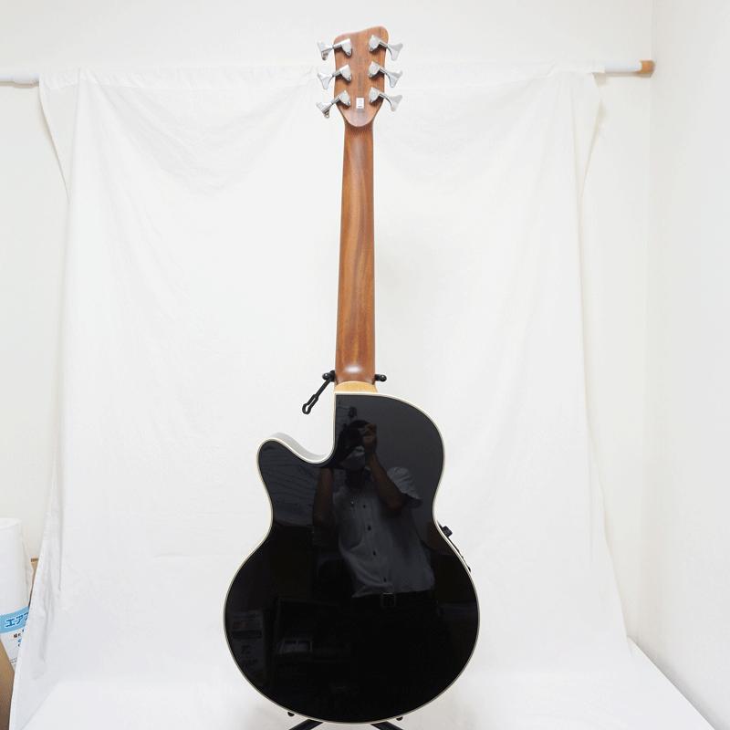 Warwick Alien RockBass Acoustic Bass アコースティックベース 