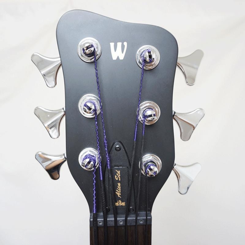 Warwick Alien RockBass Acoustic Bass アコースティックベース