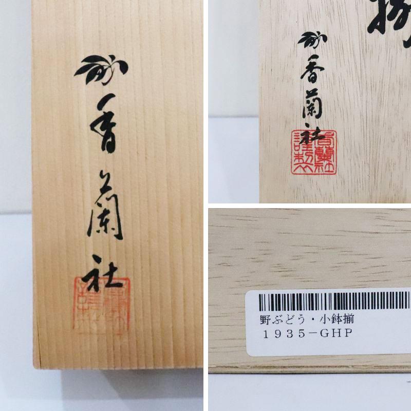 【未使用品】香蘭社 コウランシャ 急須・湯呑・小鉢 おまとめ3点セット 和食器 茶器 茶道具 陶器 カップ インテリア お買い得品 送料無料！_8