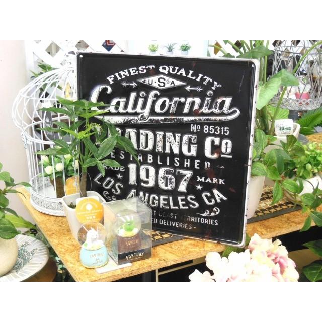 アンティークなカフェ風ブリキの看板！デザインボードメタル M