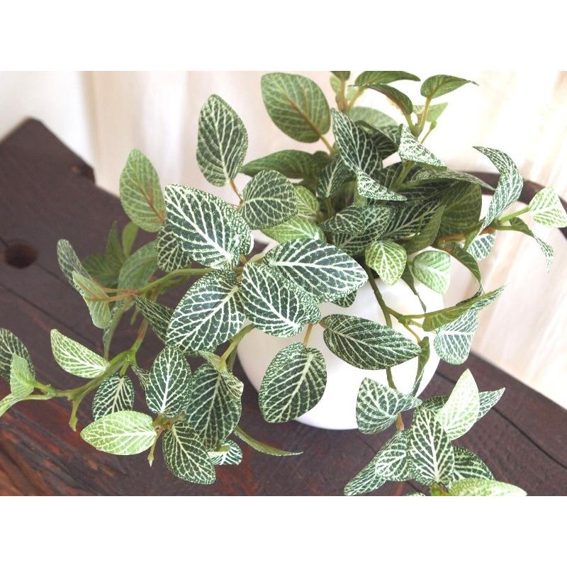 光触媒 人工観葉植物 フィトニア 光触媒 人工観葉植物 インテリアグリーン フィットニア MR : しれとこ