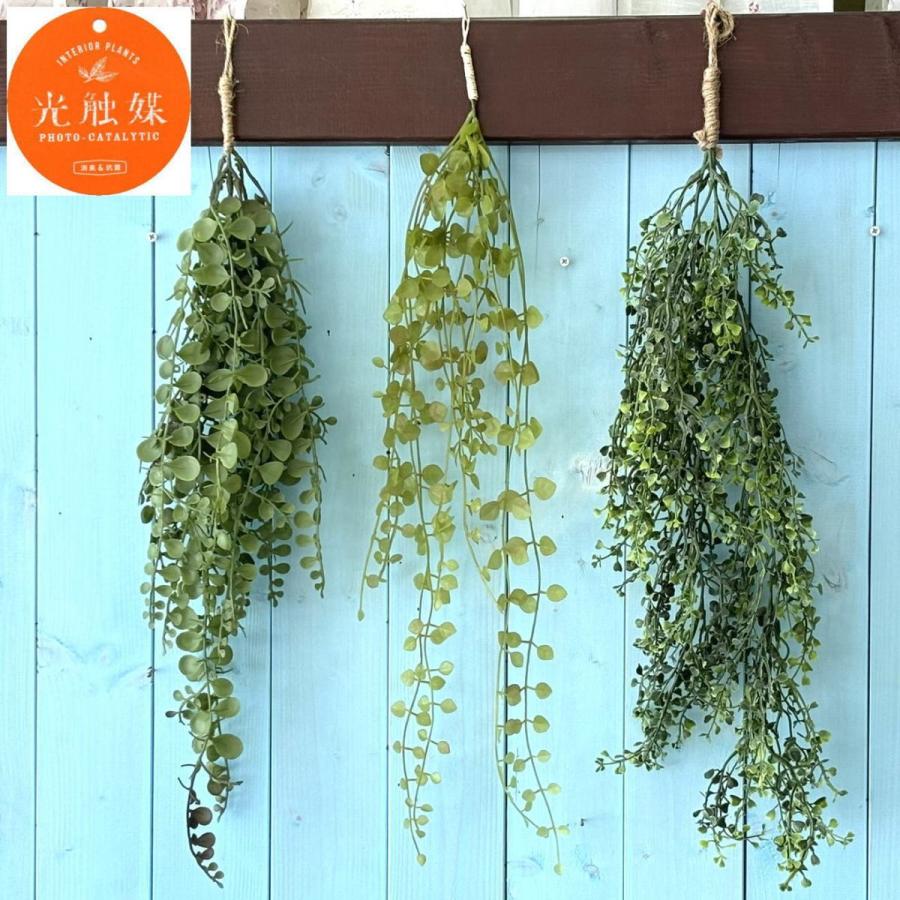 ティーリーフ葉　観葉植物　150枚 ティーリーフ葉 観葉植物 150枚 ティーリーフ葉 観葉植物 150枚 ティー