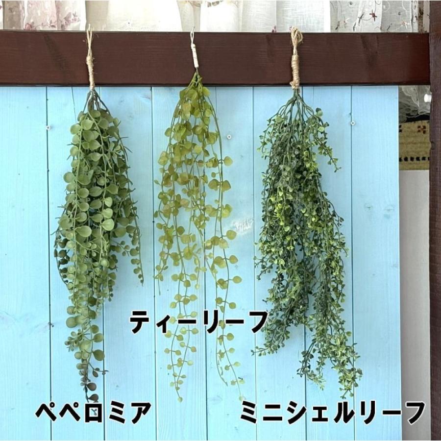 メール便で送料無料 吊り下げて癒しの空間を グリーンブッシュ 観葉