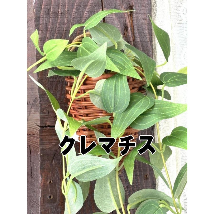 壁に掛けれる 観葉植物 光触媒加工 アイビー クレマチス 壁に掛けれる 観葉植物 光触媒加工 アイビー クレマチス