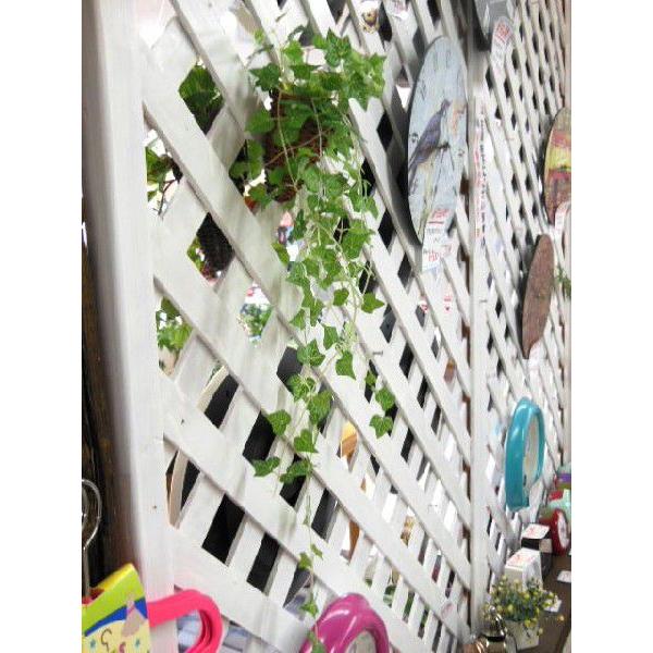 光触媒インテリアグリーン アイビー壁掛け 定形外可400円 Green 40 しれとこ本舗 通販 Yahoo ショッピング