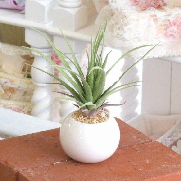 光触媒 かわいい まあるい インテリア グリーン ラウンドポット エアプランツ 定形外可400円 お値打ち価格で