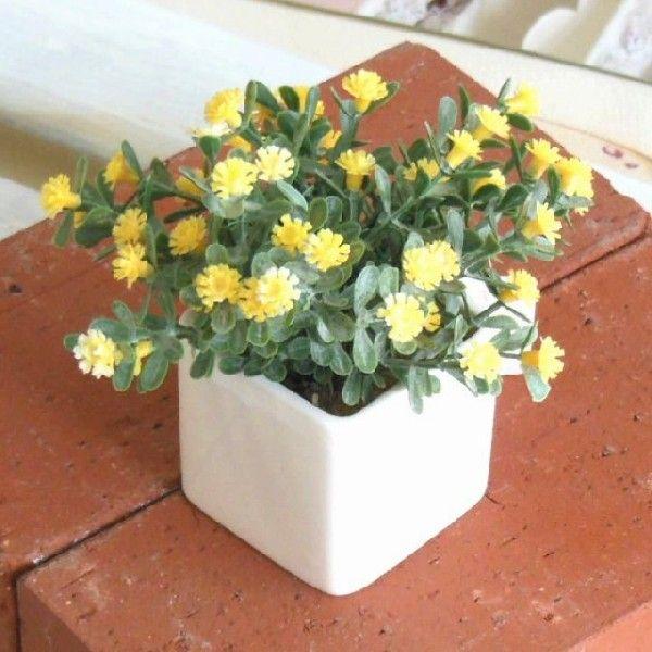 買い保障できる 光触媒 人工観葉植物 造花 インテリアグリーン DQ-02 キューブポット デイジーYE ※定形外可400円 wantannas.go.id 買い保障できる 光触媒 人工観葉植物 造花 インテリアグリーン DQ-02 キューブポット デイジーYE ※定形外可400円 wantannas.go.id
