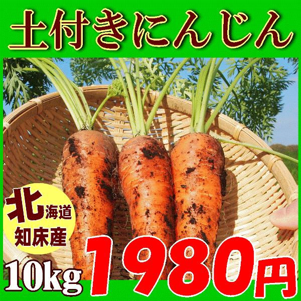 定番キャンバス 送料無料 知床産 土付きにんじん10kg 有機栽培の北海道産人参を産地直送 11月25日から順次発送