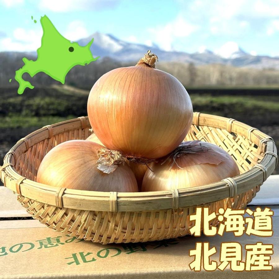 みき様専用 自然栽培 玉ねぎ 固定種 10キロ 【公式通販】