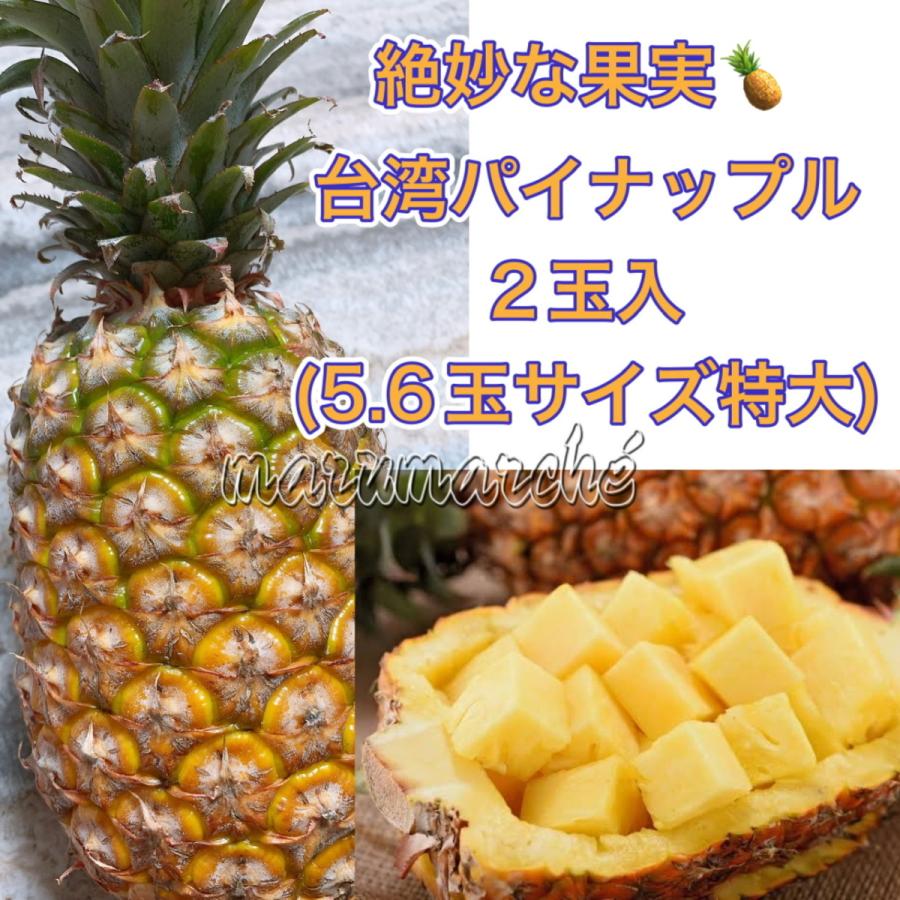 予約中 台湾パイン 特大 2玉 5 6玉サイズ 台湾産 パイナップル 柔らかい 芯まで甘い 贈り物 旬の果物 人気フルーツ