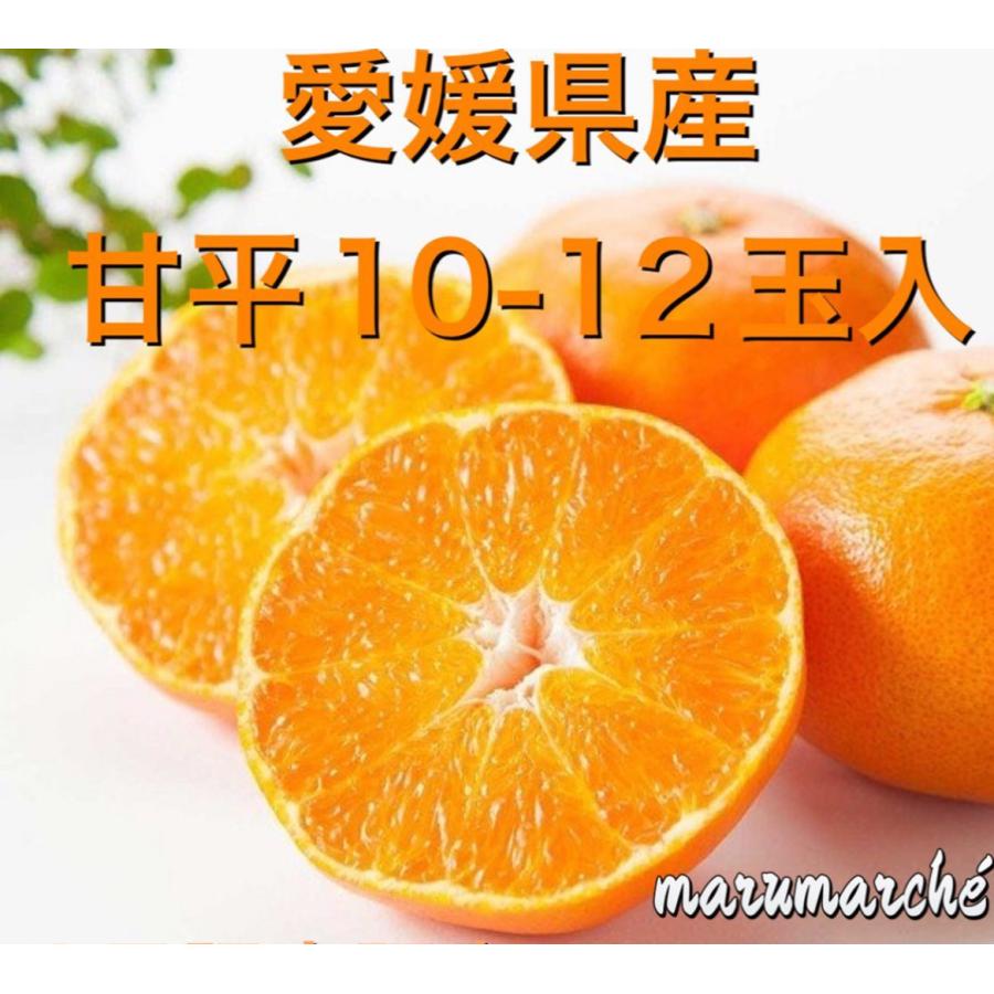 果汁たっぷり！！甘平みかん3ｋｇ　化粧箱１０〜１2玉入　シャキッと食感　種なしみかん　大粒　糖度高い　柑橘類　ギフト　ホワイトデー　愛媛県産 | 