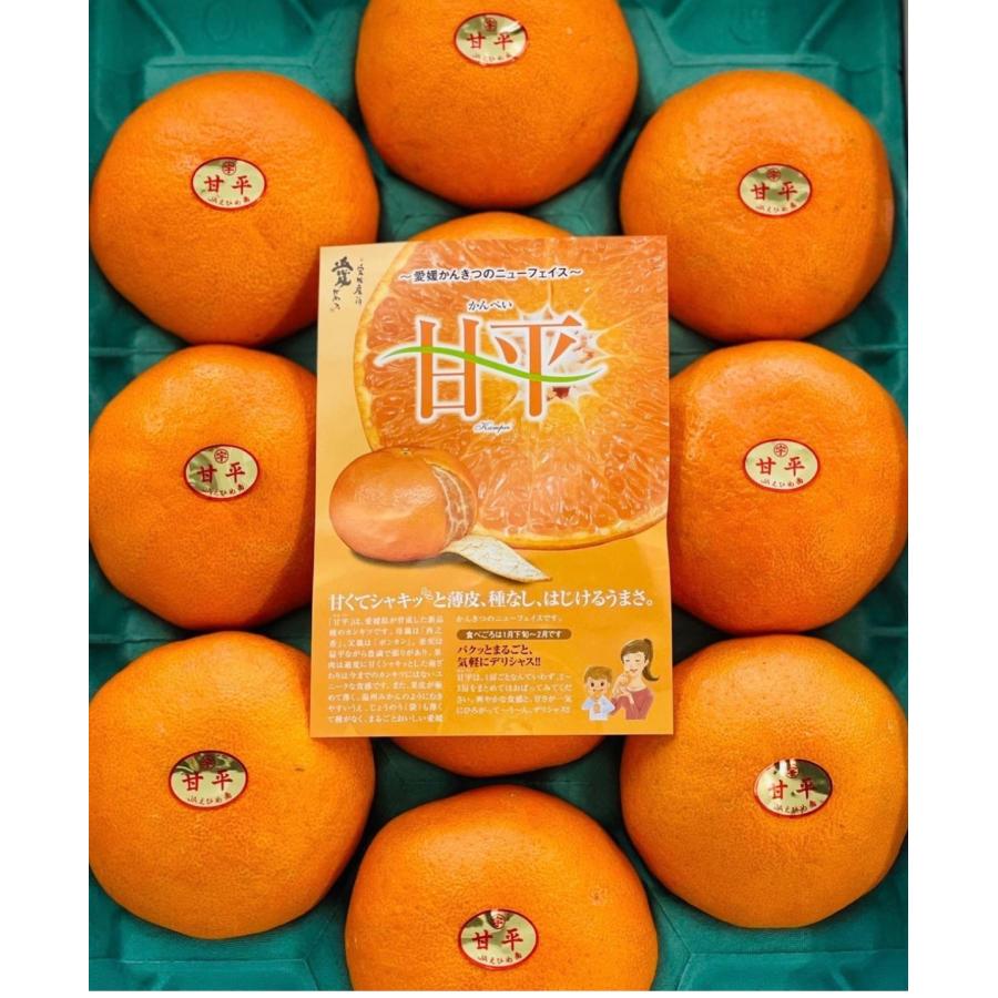 かわさん 甘平 秀品 10kg かわさん 甘平 秀品 10kg 楽天市場】甘平