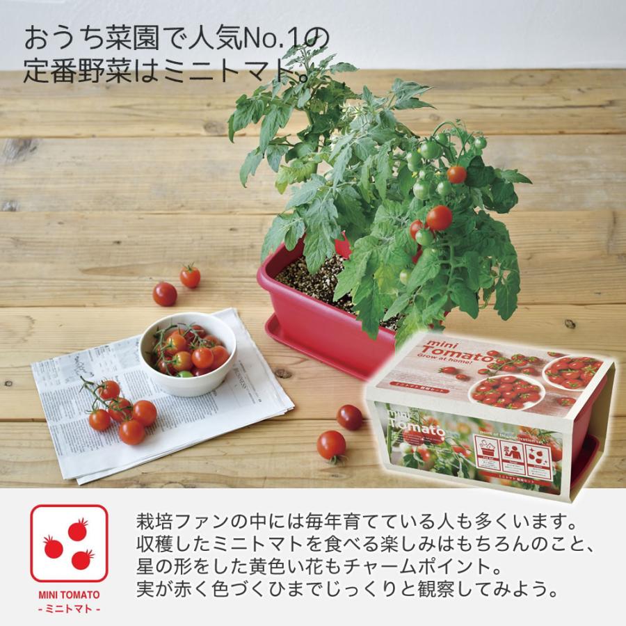 エンジョイプランター ベジ エダマメ ミニトマト フラワー ミニ