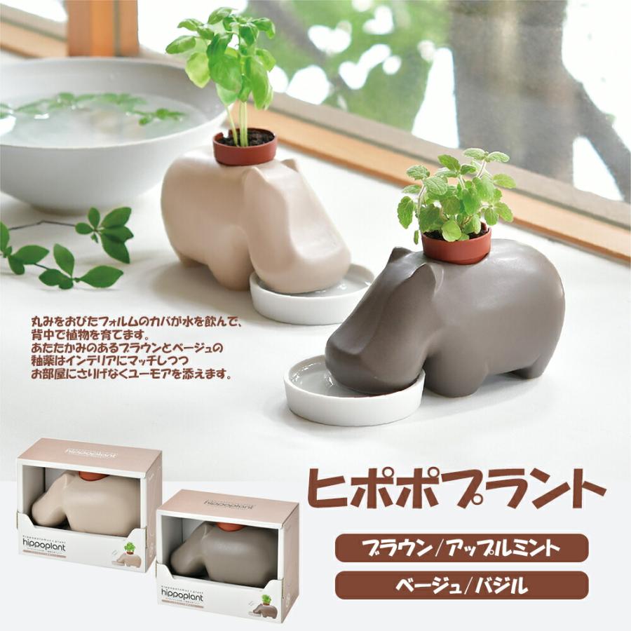 観葉植物 栽培キット 室内 ミニプランター インテリアグリーン 観葉植物 栽培キット 室内 ミニプランター インテリアグリーン