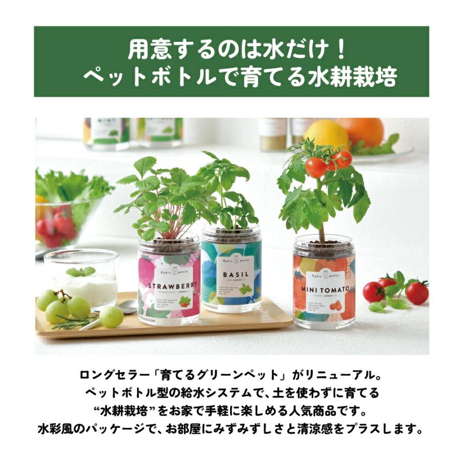 栽培キット 家庭菜園 キッチン菜園 おうち菜園 卓上菜園 野菜 花 聖新