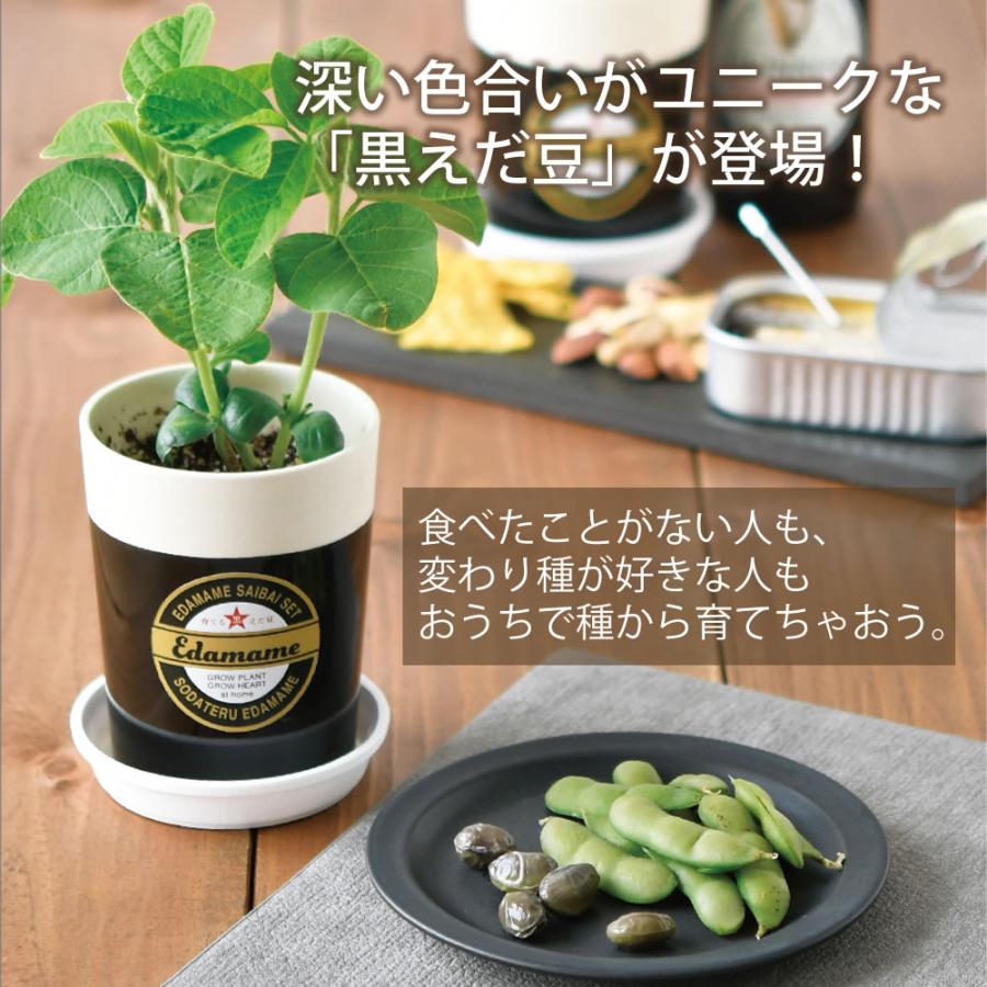 栽培セット 栽培キット おうち菜園 室内 野菜 家庭菜園 初心者向け