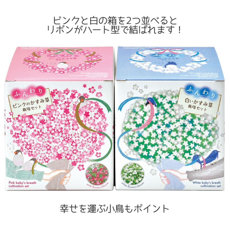 観葉植物 栽培キット 花 フラワー 室内 ミニプランター インテリア