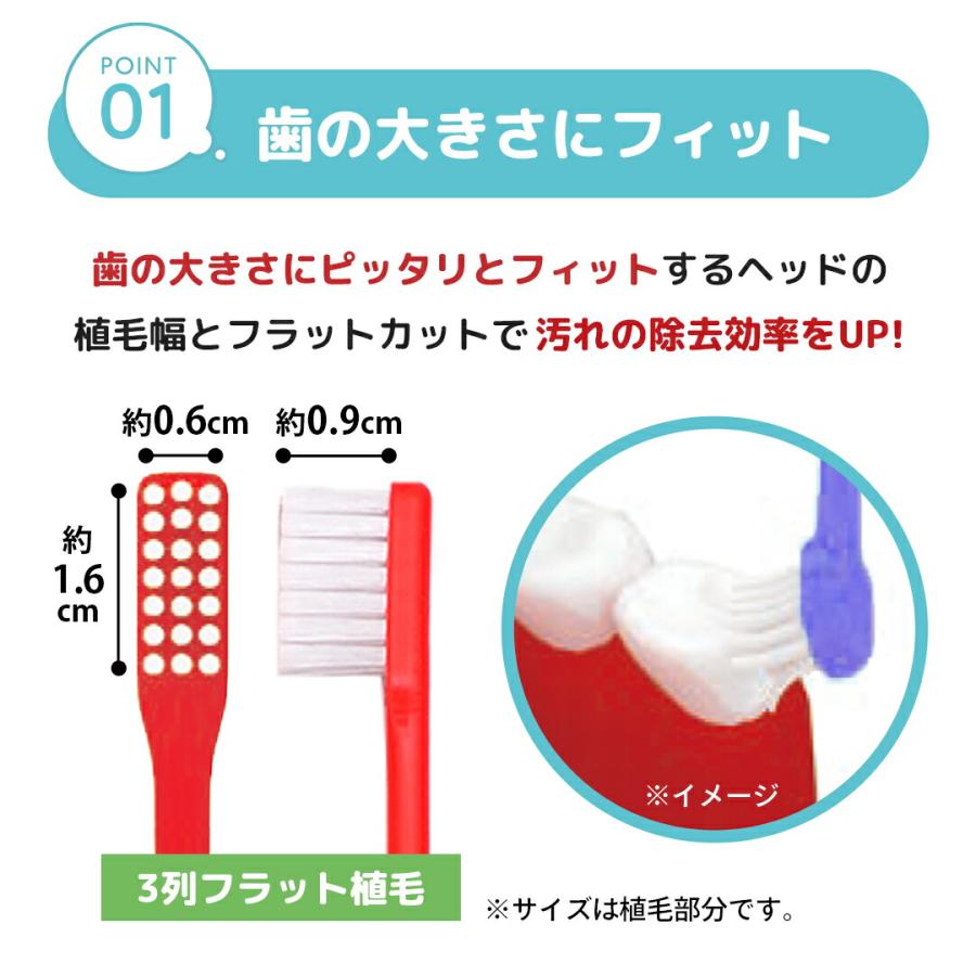 衛生用品 ハブラシ 個包装 コンパクトヘッド 歯磨き オーラルケア 6本